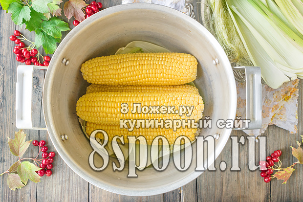 Как варить кукурузу в початках фото_6