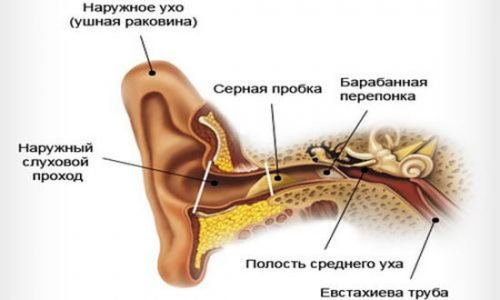 Причины появления серной пробки в ушах
