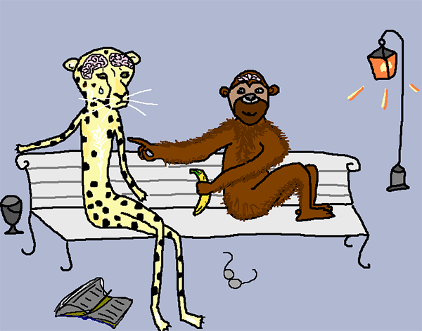 Почему не все обезьяны эволюционировали в человека? Рисунок © Е.В.