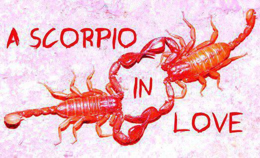 как понять что мужчина скорпион влюблен 