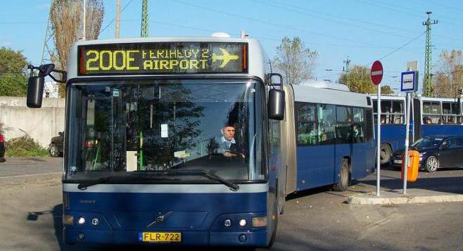 автобус будапешт