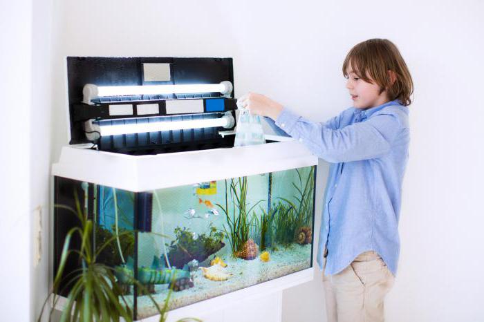 инструкция как ухаживать за рыбками в аквариуме