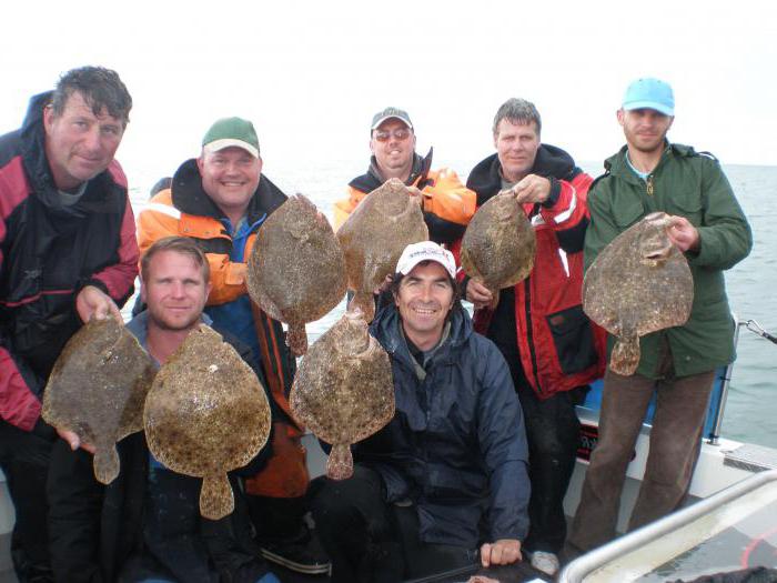 Снасти на камбалу в Черном море: результат многолетнего опыта рыбаков