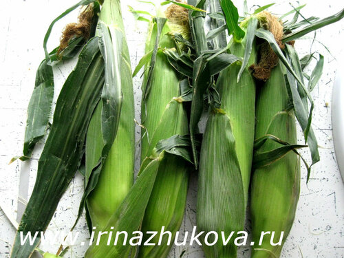 Как варить молодую кукурузу