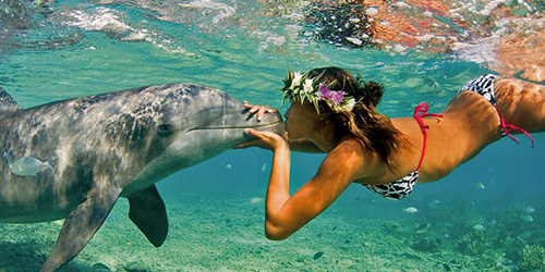 поцелуй с дельфином