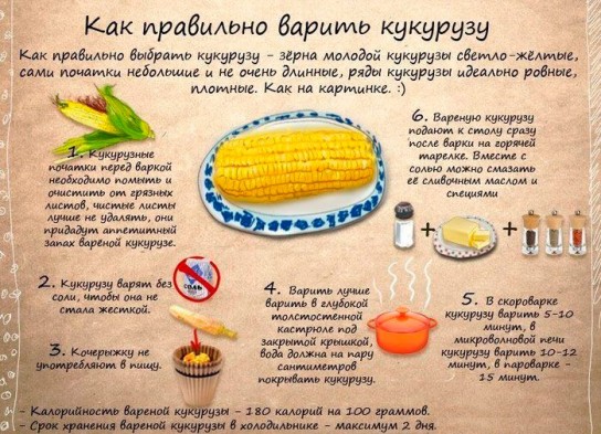Как правильно варить кукурузу?