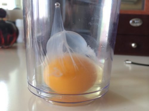 Определить порчу по яйцу