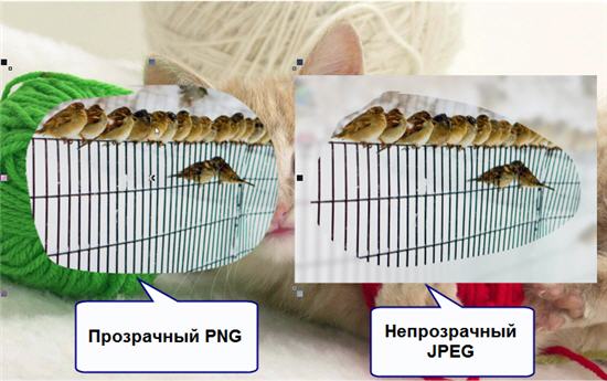 Непрозрачный JPEG и прозрачный PNG