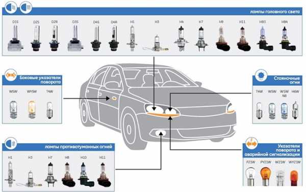 разновидности цоколей автомобильных ламп