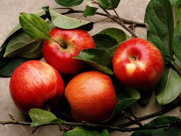 Повышают ли сахар в крови яблоки