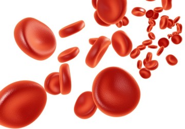 Как повысить лейкоциты в крови