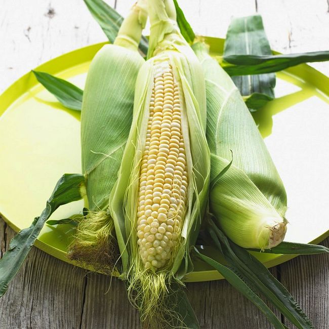 Молодая кукуруза