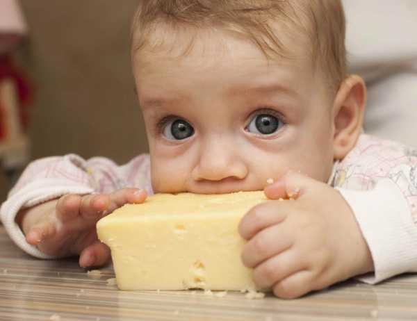 С какого возраста можно есть сыр детям
